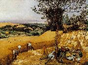 BRUEGEL, Pieter the Elder The Harvesters gf oil